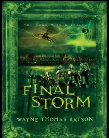 The Final Storm Read online