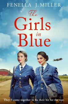 The Girls in Blue Read online