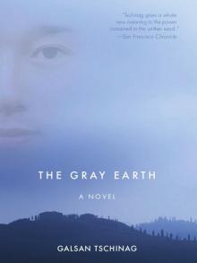 The Gray Earth Read online