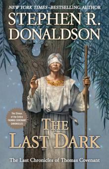 The Last Dark Read online