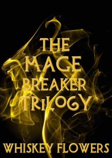 The Mage Breaker Read online