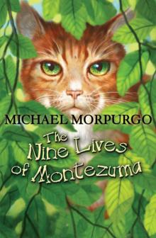 The Nine Lives of Montezuma Read online