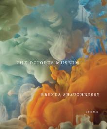 The Octopus Museum Read online