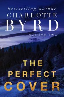 The Perfect Cover (The Perfect Stranger Book 2) Read online