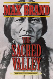 The Sacred Valley Read online