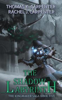 The Shadow Labyrinth: A LitRPG Adventure Read online