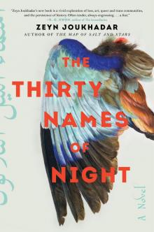 The Thirty Names of Night Read online