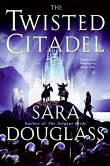The Twisted Citadel Read online