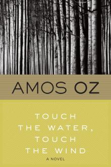 Touch the Water, Touch the Wind Read online