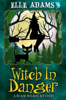 Witch in Danger Read online