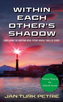 Within Each Other's Shadow Read online