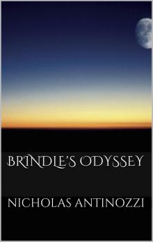 Brindle's Odyssey Read online