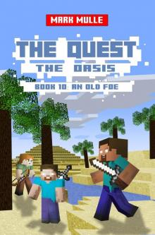 The Quest: The Oasis, Book 10: An Old Foe Read online