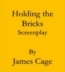 Holding the Bricks Read online