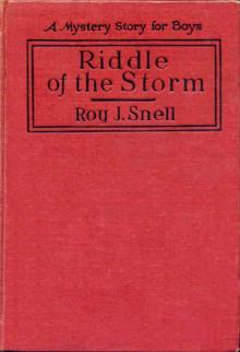 Riddle of the Storm Read online