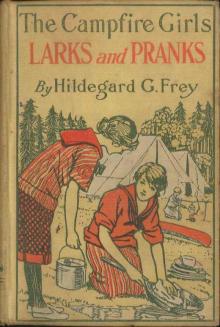 The Camp Fire Girls' Larks and Pranks; Or, The House of the Open Door