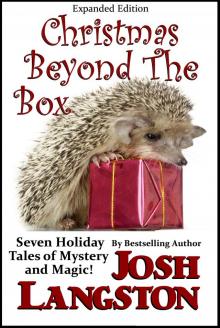 Christmas Beyond the Box Read online