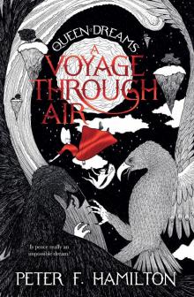 A Voyage Through Air Read online