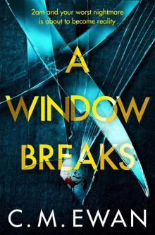 A Window Breaks Read online