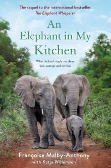 An Elephant in My Kitchen: What the Herd Taught Me About Love, Courage, and Survival