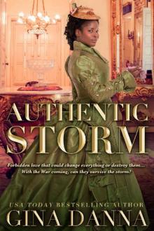 Authentic Storm: An American Civil War Novel (Hearts Touched By Fire Book 5) Read online