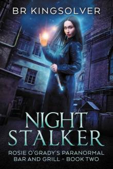 B R Kingsolver - [Rosie O'Grady's Paranormal Bar and Grill 02] - Night Stalker
