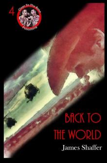 Back To The World - James Shaffer Read online
