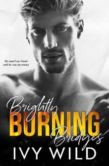 Brightly Burning Bridges: A Bully Romance (Kings of Capital) Read online