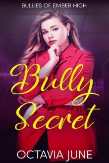 Bully Secret (Bullies of Ember High Book 1)