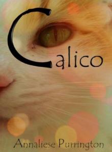 Calico