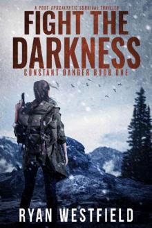 Constant Danger (Book 1): Fight The Darkness Read online