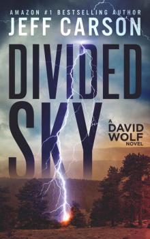 Divided Sky Read online
