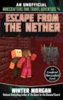 Escape from the Nether Read online