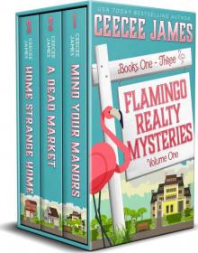 Flamingo Realty Mystery Box Set Read online