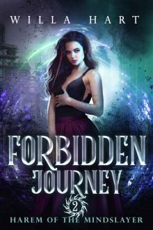 Forbidden Journey Read online