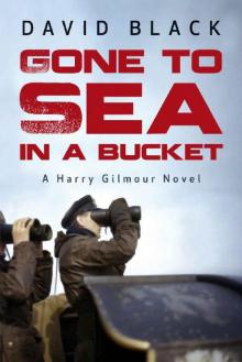 Gone to Sea in a Bucket Read online