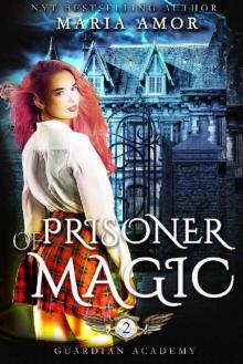 Guardian Academy 2: Prisoner Of Magic (The Mystery Of The Four Corners) Read online