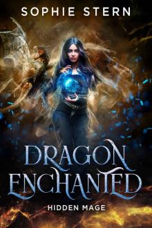 Hidden Mage (Dragon Enchanted Book 1)