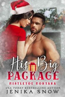 His Big Package (Mistletoe Montana, 4) Read online