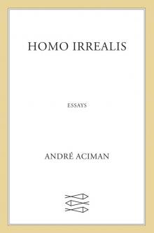 Homo Irrealis Read online