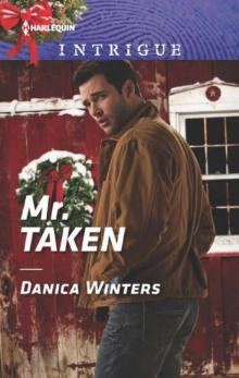 Mr. Taken (Mystery Christmas Book 3) Read online