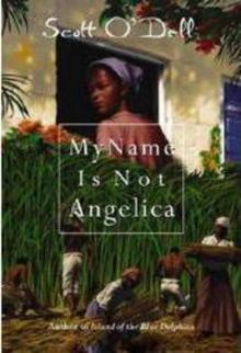 My Name Is Not Angelica Read online