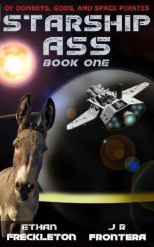 Of Donkeys, Gods, and Space Pirates