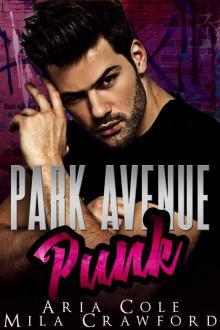 Park Avenue Punk Read online