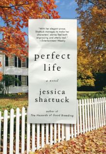 Perfect Life Read online