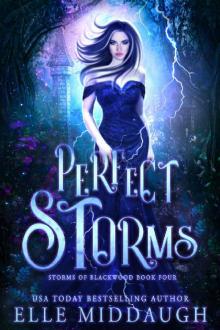 Perfect Storms (Storms of Blackwood Book 4) Read online