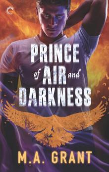 Prince of Air and Darkness Read online