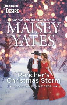 Rancher's Christmas Storm--A Western snowbound romance Read online