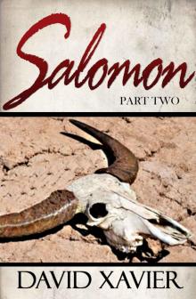 Salomon 2 Read online
