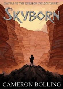 Skyborn Read online